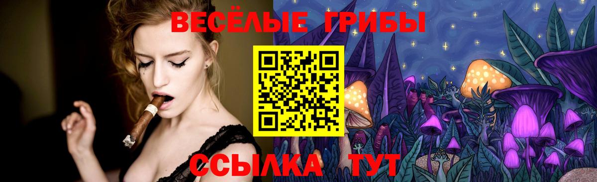 Псилоцибиновые грибы MAGIC MUSHROOMS  где продают наркотики  Майский  Вход с VPN 